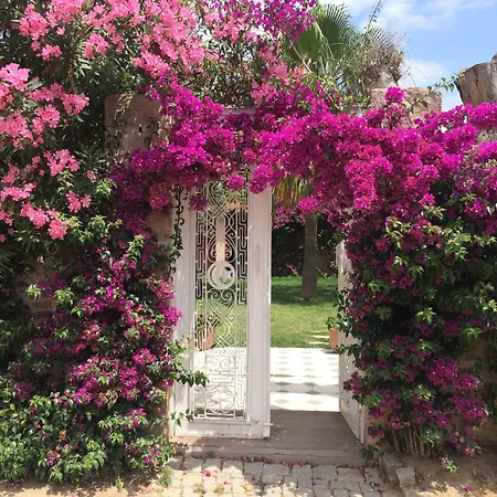 Hotel Cunda Has